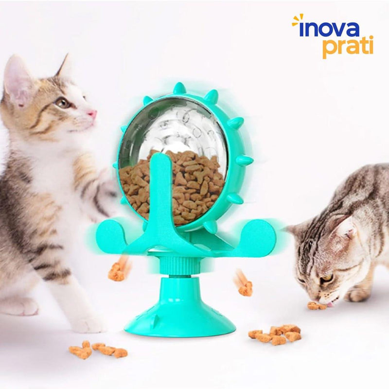 Alimentação Divertida para Gatos