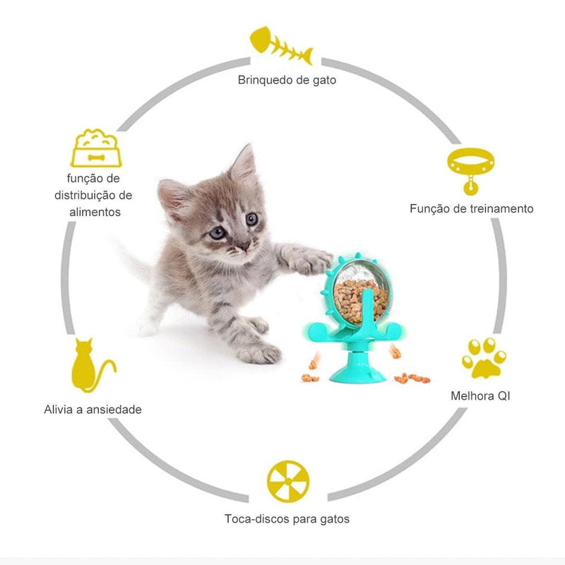 Alimentação Divertida para Gatos